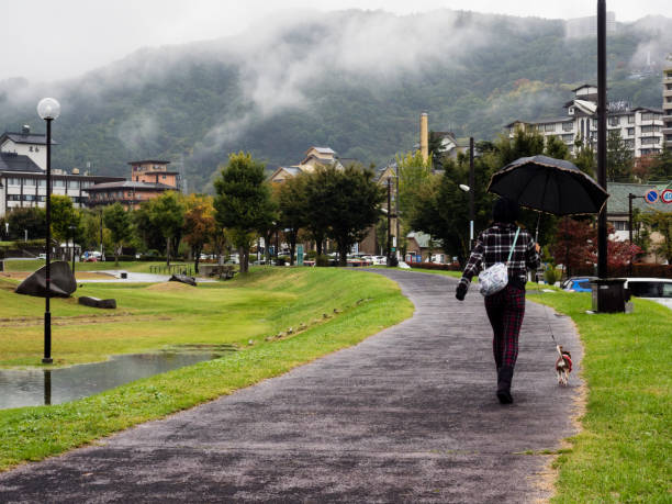 Local resident walking the dog under the rain at Suwa Lakeside Park - Nagano prefecture, Japan Suwa, Japan - October 21, 2017: Local resident walking the dog under the rain at Suwa Lakeside Park suwa lake photos stock pictures, royalty-free photos & images