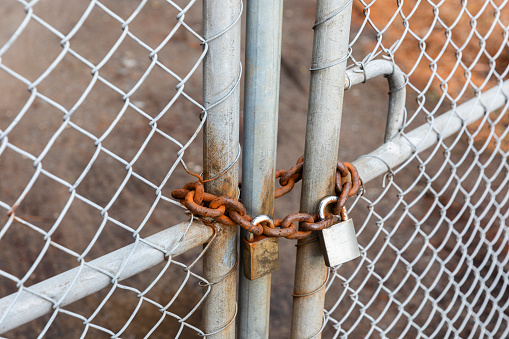 Locks and chains fastened to a metal fence, serving as a secure link to a gate.