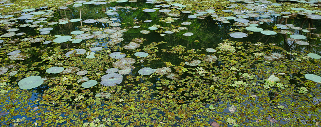 Surface of the lake with the reflection of the clouds. Jiuzhaigou nature reserve, Jiuzhai Valley National Park, China.