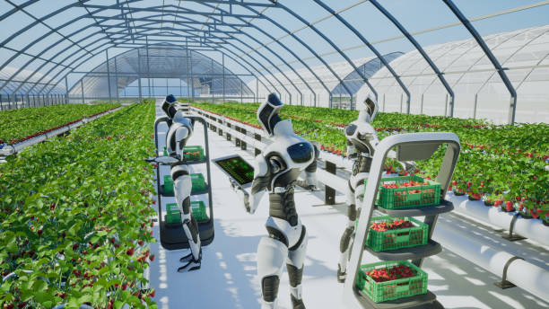 istock Artificial intelligence robot harvesting strawberry in the greenhouse, 3d render 2059440956
