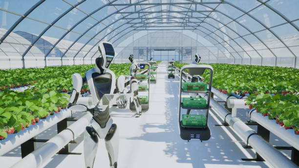 istock Artificial intelligence robot harvesting strawberry in the greenhouse, 3d render 2059440958