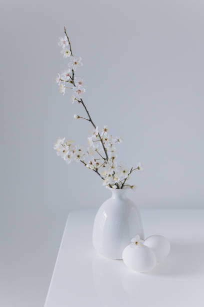 istock Beautiful branches with white blossom and eggs on a white table. Minimal Easter concept. 2059452729