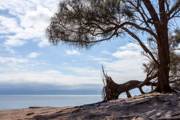 istock Freycinet Peninsula, Tasmania, Australia 2059453257