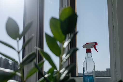 Accessories for cleaning windows. Сleanser sprayer on the windowsill and outside the window blue sky. Green leaves in the foreground