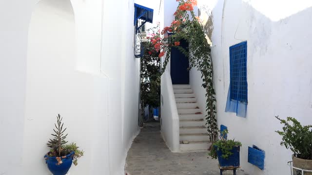 Whitewashed alley with stairs and blue accents in Sidi Bou Said, Tunisia, bright daylight