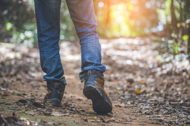 Traveler feet hiking in forest trail