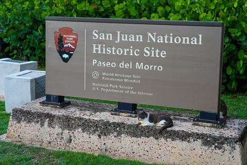 Close up of San Juan National Historic Site Paseo El Morro sign along the walkway under the imposing fortress wall of Old San Juan Puerto Rico with a cute gray and white cat