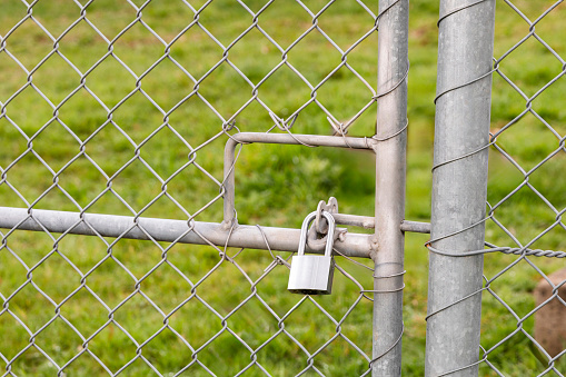 Security gate secured with chains and a steel padlock, enclosing a grassy field.