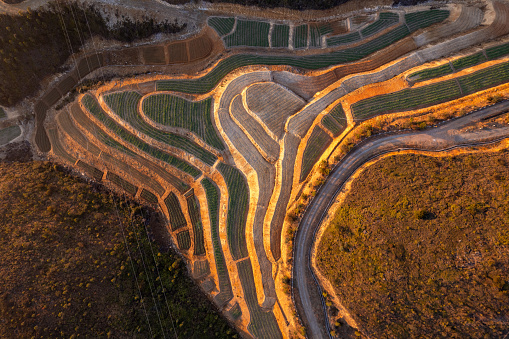 Vertical bird's-eye view of the terraced fields on the mountain at dusk