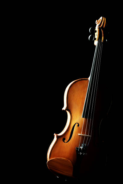 istock Violin isolated on black. Classical musical instrument 2059583384