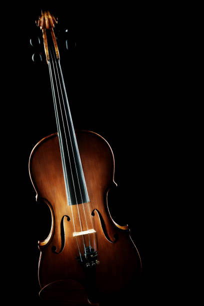 istock Violin orchestra musical instrument 2059583886