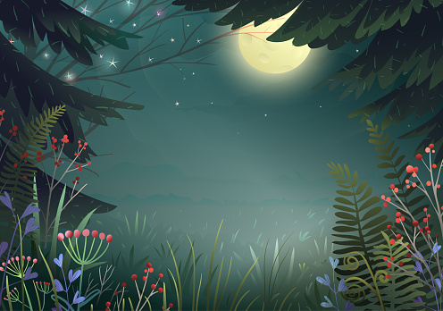 Dreamlike fantasy pine forest at night with full moon light. Nature background with trees grass flowers and berries, wild forest at night. Vector wallpaper, starry night sky illustration for children.