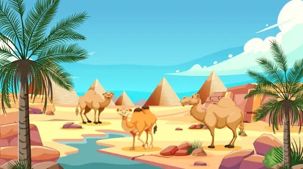 Vector illustration of Vector illustration of camels near Egyptian pyramids.