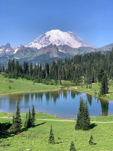 istock Mount Rainier and Tipsoo Lake 2059691662