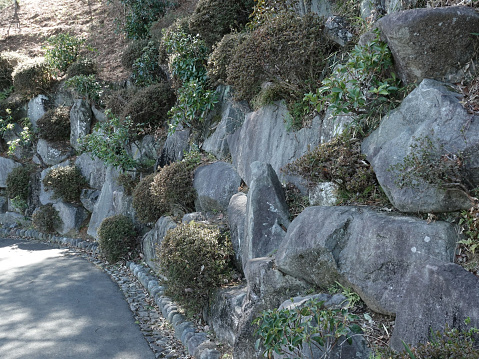 This is a group of works photographed with the stone walls of Yoshino Bairin Park as the subject. Photography data: March 2024, Tokyo, Ome City, Japan.