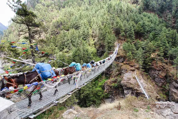Mules carrying equipment on the Everest Base Camp trek pass over steel rope bridges over streams adorned with prayer flags near Namche Bazaar,Nepal