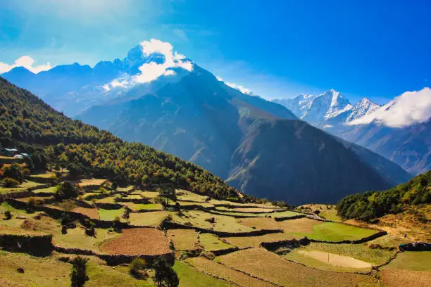Terraced fields outside Namche town seen here in the early morning sun in the Khumbu, Nepal