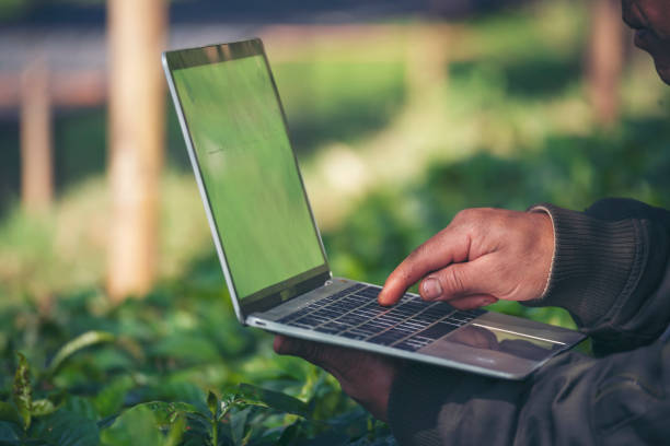 istock Smart farmer using laptop in eco green farm sustainable quality control. Close up Hand typing laptop computer quality control plant tree. Farmer hands using technology in eco Farmland biotechnology 2059831892