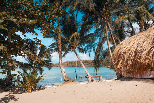 istock Tropical beach,Coconut trees and blue sea on a summer day 2059861617