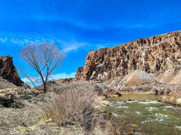 istock Wilson Canyon - West Walker River - April 2059896650