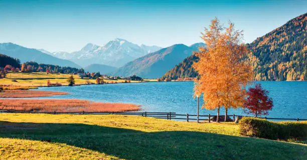Impressive autumn panorama of Haidersee (Lago della Muta) lake with Ortler peak on background. Splendid morning view of Italian Alps, Italy, Europe. Beauty of countryside concept background.