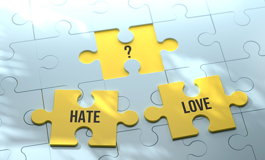 Two Puzzle Pieces and decisions. Hate Or Love?