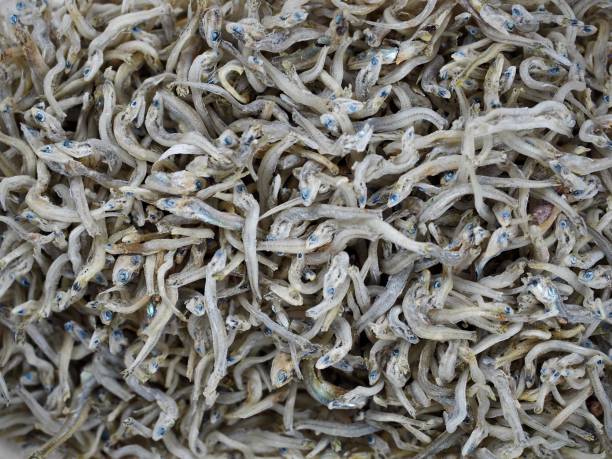 istock Dried anchovy background, food ingredient 2059933603