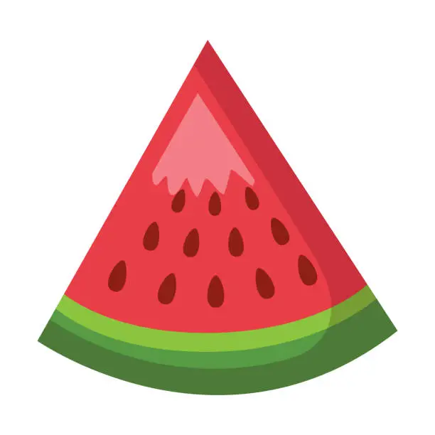 Vector illustration of Vector cartoon slice watermelon on white