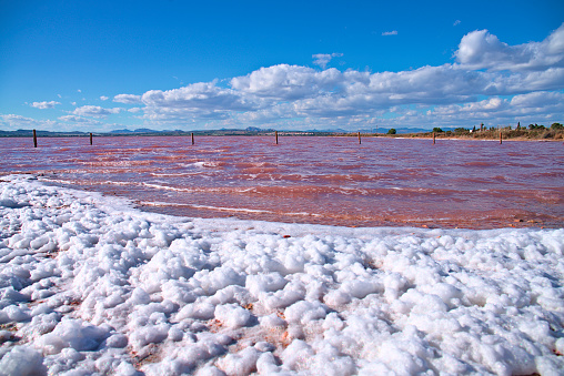 La Mata Pink Lagoon - saline water, Torrevieja region, Spain