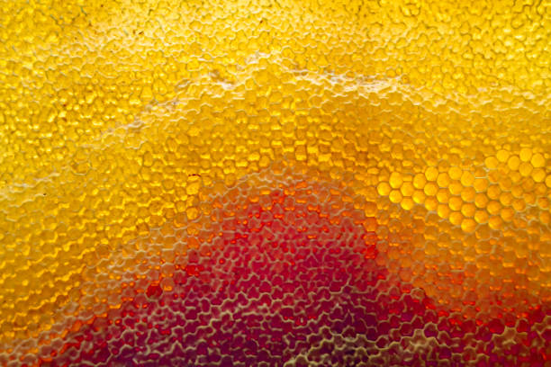 Drop of bee honey drip from hexagonal honeycombs filled with golden nectar, honeycombs summer composition consisting of drop natural honey, drip on wax frame bee, drop of bee honey drip in honeycombs