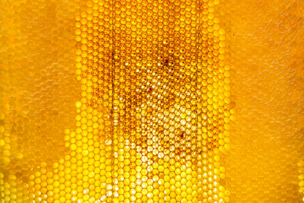 Healthy Honey with Honeycombs