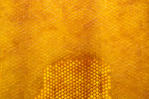 Drop of bee honey drip from hexagonal honeycombs filled with golden nectar, honeycombs summer composition consisting of drop natural honey, drip on wax frame bee, drop of bee honey drip in honeycombs