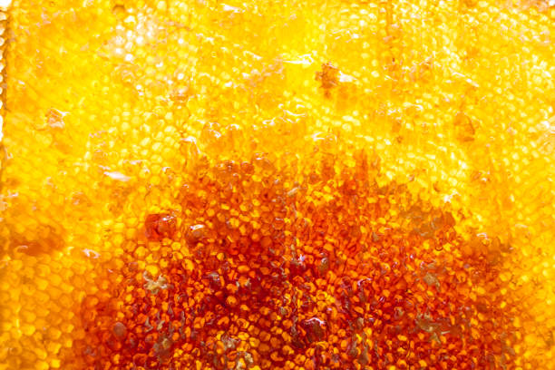 Drop of bee honey drip from hexagonal honeycombs filled with golden nectar, honeycombs summer composition consisting of drop natural honey, drip on wax frame bee, drop of bee honey drip in honeycombs