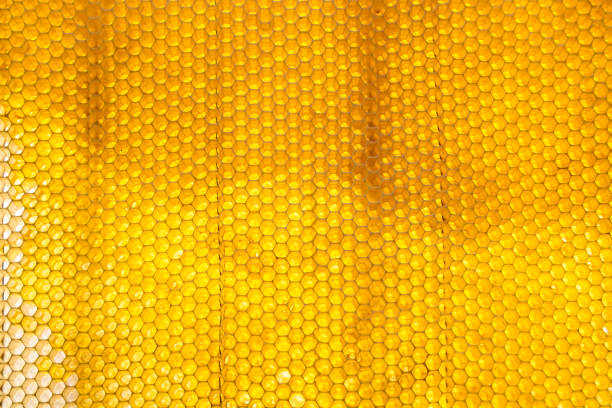 Drop of bee honey drip from hexagonal honeycombs filled with golden nectar, honeycombs summer composition consisting of drop natural honey, drip on wax frame bee, drop of bee honey drip in honeycombs
