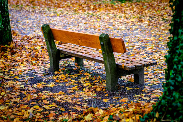 typical old wooden bench - closeup - photo