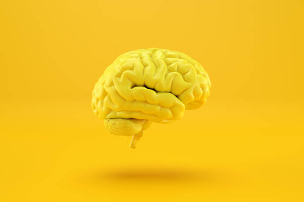 istock Yellow colored human brain floating on yellow background. 2060027788