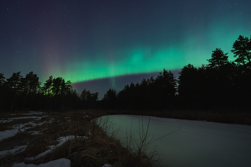Night scene. Landscape astrophoto with northern lights in winter forest of Estonia. High quality photo