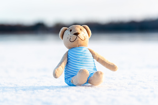 Toy Teddy bear sitting on the white snow background forest winter blurred landscape.