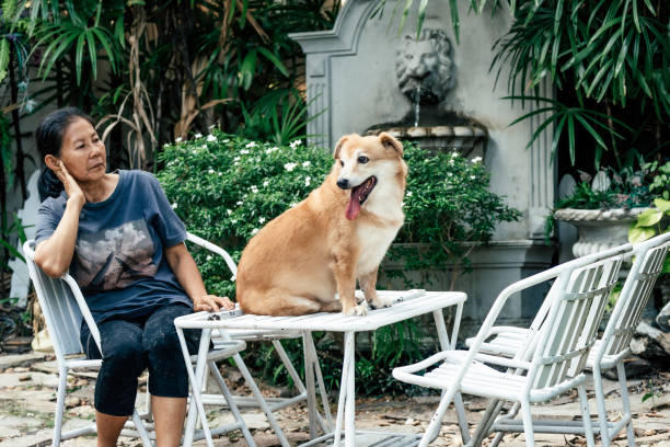 Dog and owner live together at home