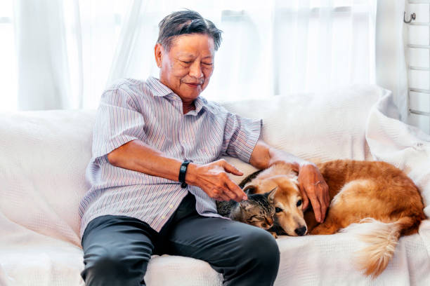 Senior man playing with dog and cat at home