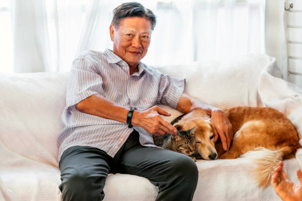 istock Senior man playing with dog and cat 2060097764