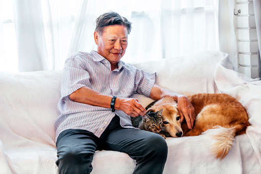 Senior man playing with dog and cat at home