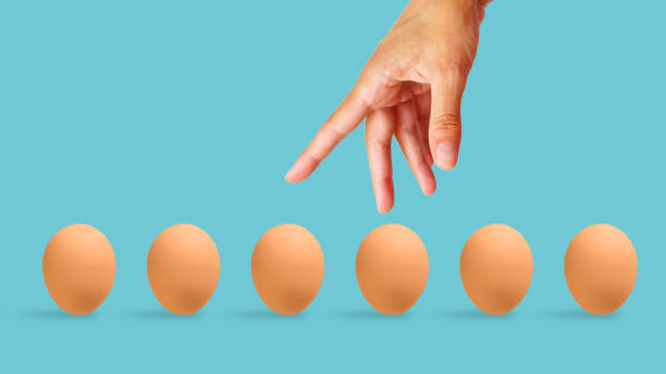 istock Diversification and risk management. Do not put all eggs in one basket. Collage with the hand which put eggs 2060156659