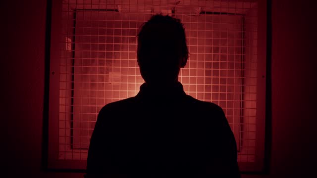 Silhouette of a gesturing person against a red illuminated grid
