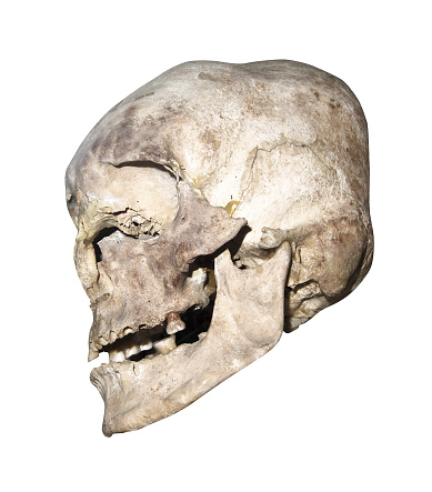 old human skull isolated on white background