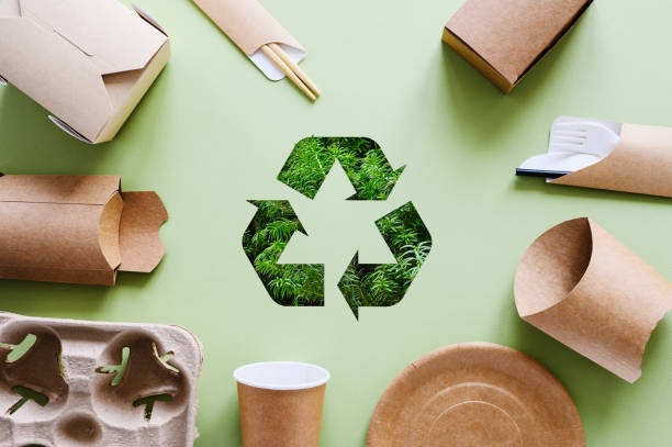 istock Eco friendly items and packaging around green recycling sign. Zero waste and recycling concept 2060178455