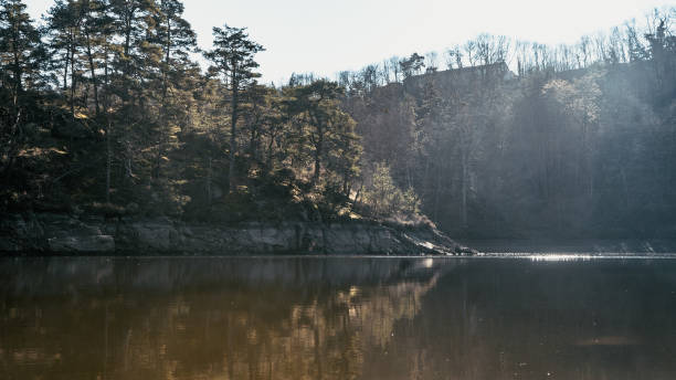 istock Forest by the water in Saint Victor sur Loire 2060212383
