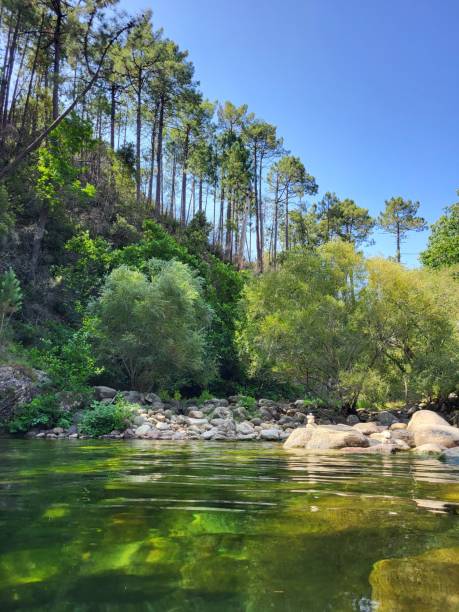 istock River  -  Solenzara  - Corsica 2060221381