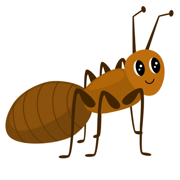 1623_ant Ant cartoon character. Cute insect. Vector hand draw illustration isolated on white background ant clipart pictures stock illustrations