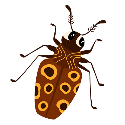 Beatle cartoon character. Bug. Cute insect. Vector hand draw illustration isolated on white background